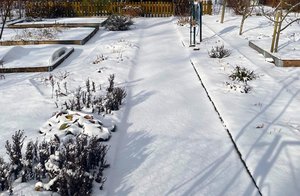 Mit der Winterruhe ist's vorbei... Auf ins Gartenjahr 2026! Foto: Martina Plothe